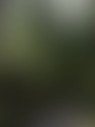 A Weekend in Vancouver Island