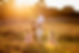Hawkesbury Family photographer