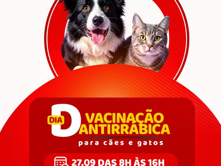 Prefeitura do Assú promove Dia D da Vacinação Antirrábica no dia 27 de setembro