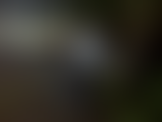 Homem é preso em Natal por crime de extorsão contra o prefeito de Pureza