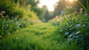 The Importance of Sustainable Living in Today's World