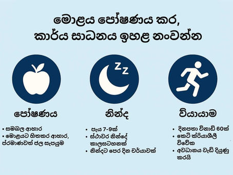 සංජානන එන්ජිමට ඉන්ධන සැපයීම - පෝෂණය, නින්ද සහ අධ්‍යයන කාර්යසාධනය අතර ඇති තීරණාත්මක සම්බන්ධය