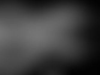 Arthritis in Guinea Pigs