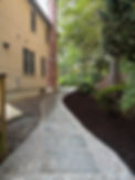 IMG_7329.jpeg