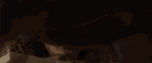Annabelle 3 Gif 4.gif
