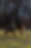 IMG_4528.jpeg