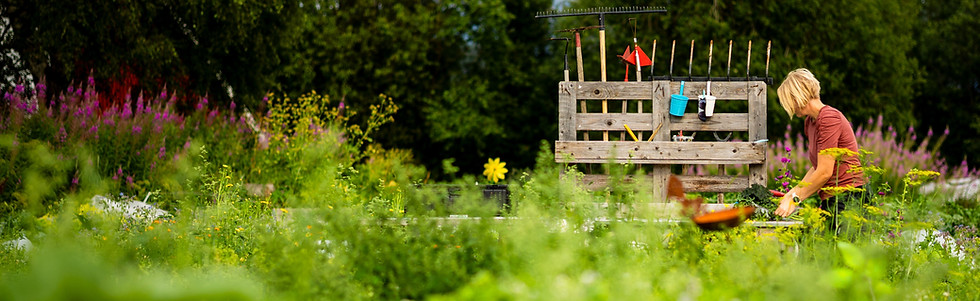 310725 - Bedriftfoto - Fjellheim Mangesysleri - Fotograf Marte Bjørgum -104.jpg