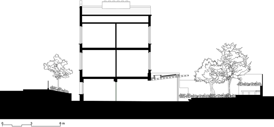 AA Section_ps.png