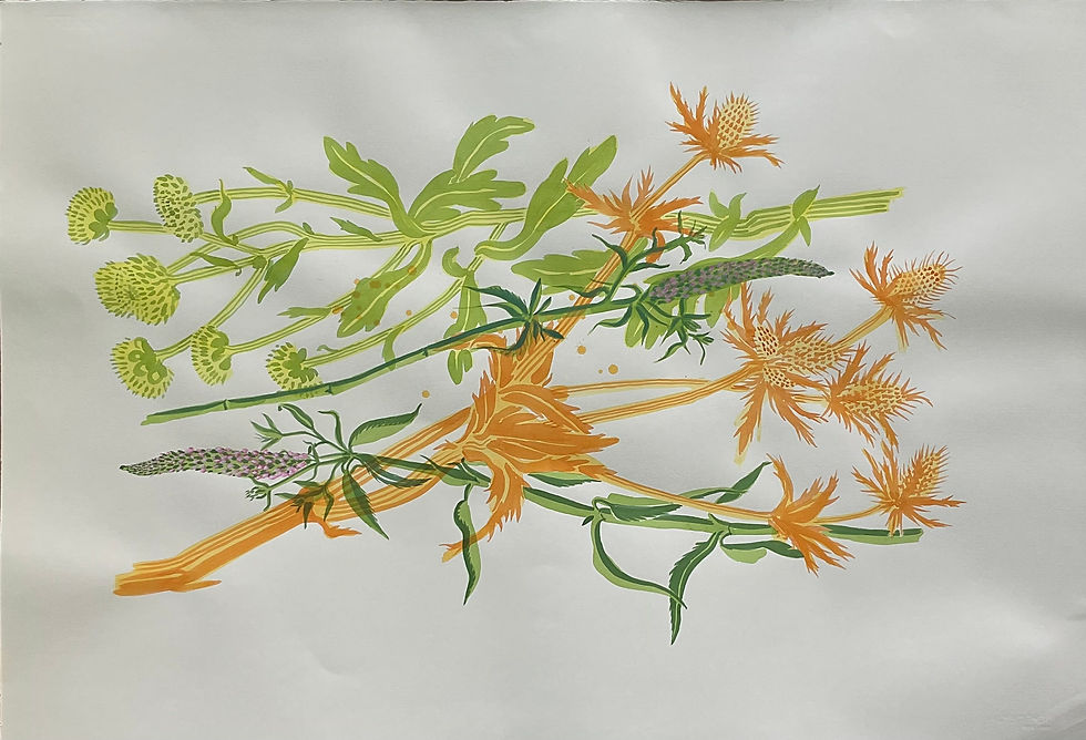 Florae 1 (green and orange)