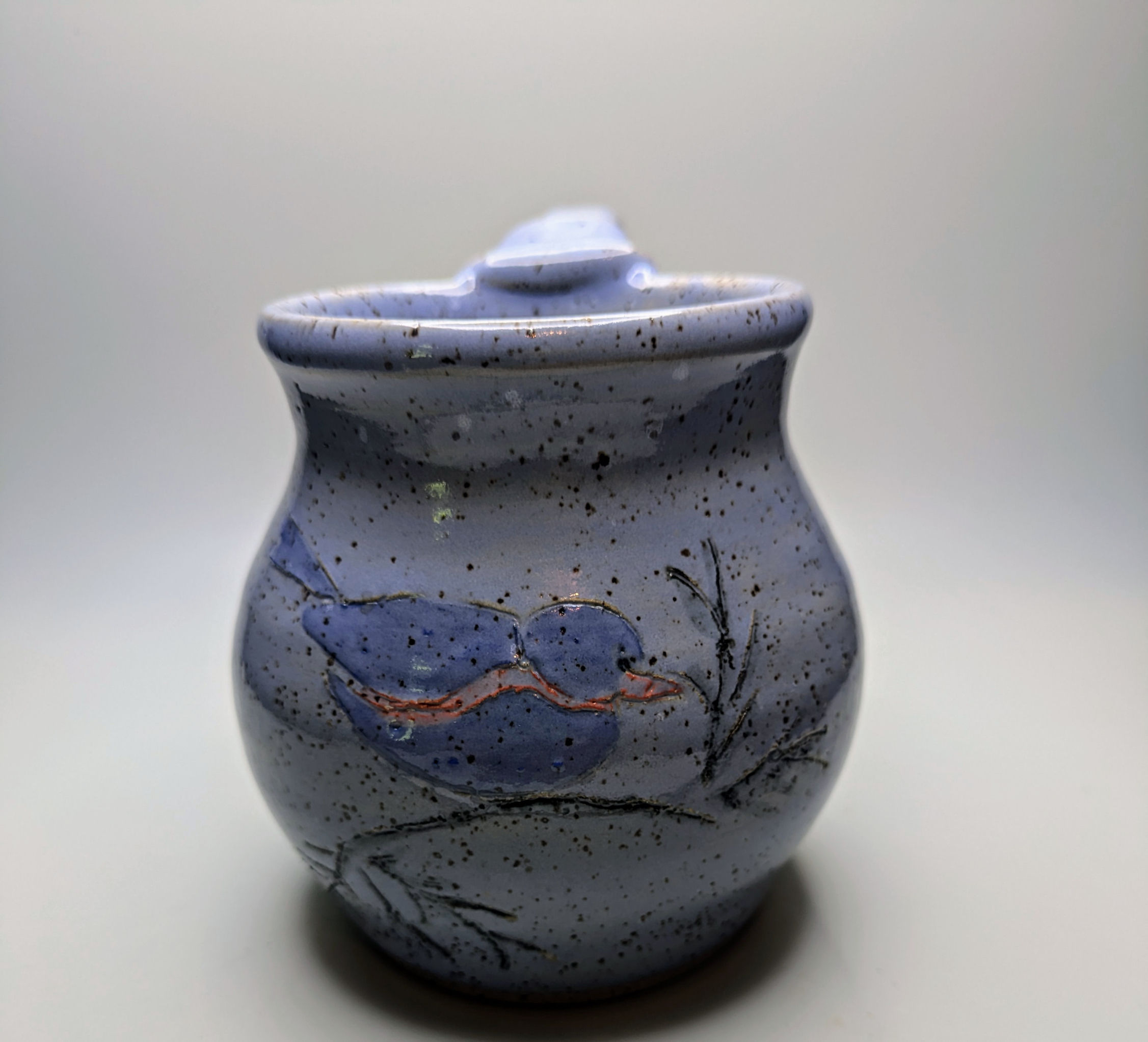 bird cup