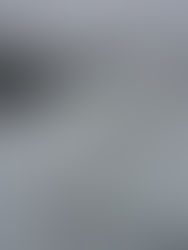 認知科学関係の講演