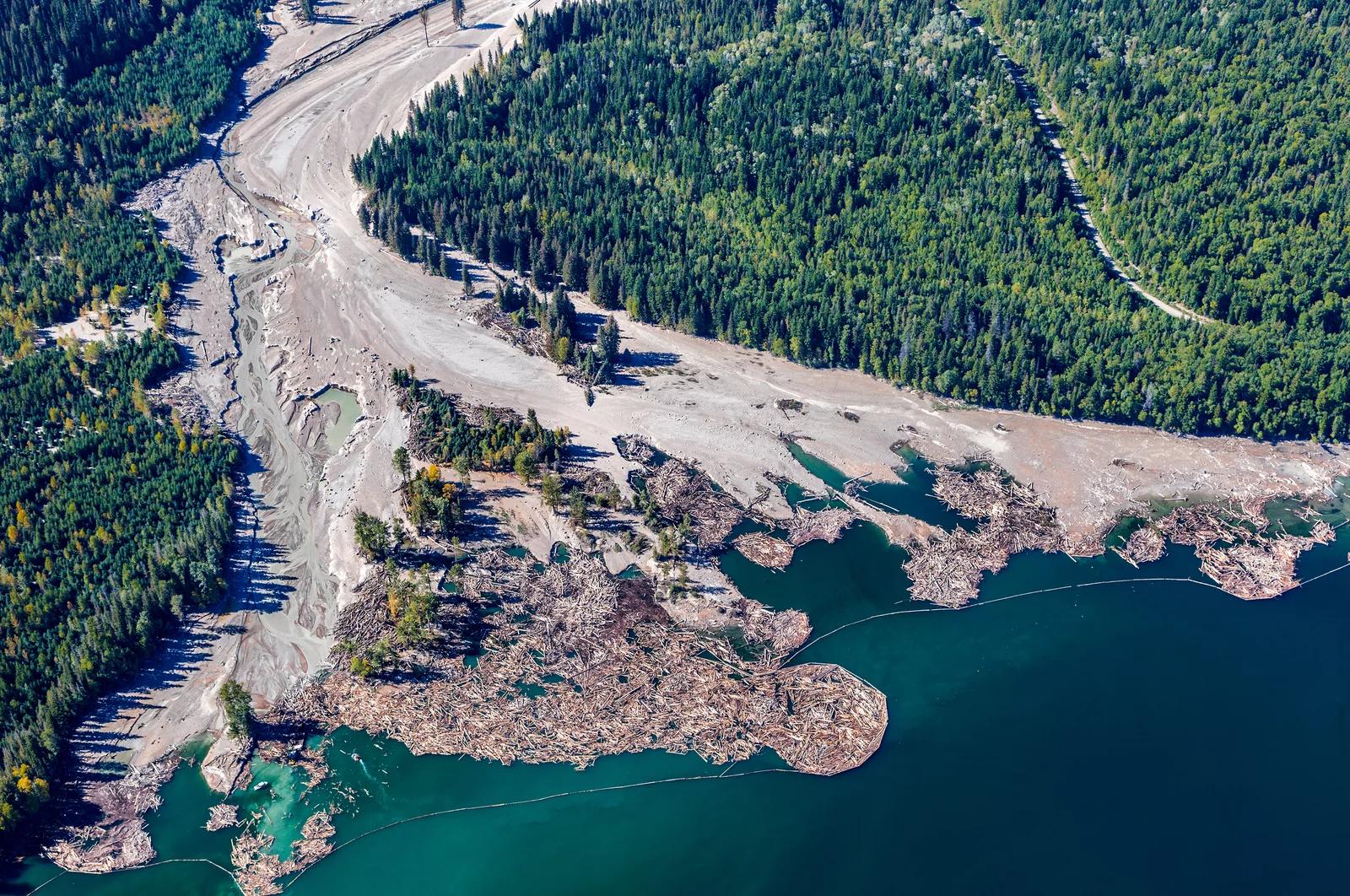 mt polley.webp