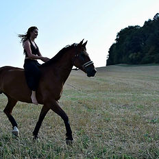 4 Pattes Communication