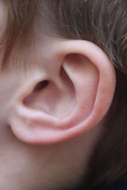 ear1.jpeg