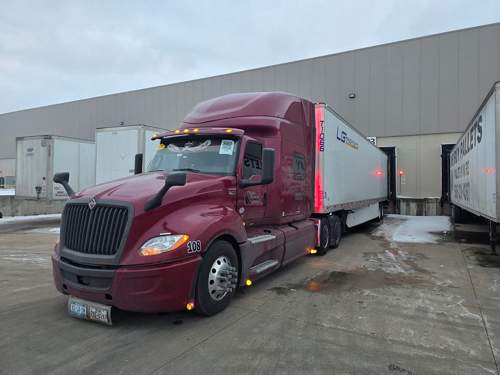 WhatsApp Image 2026-02-11 at 7.52.19 PM