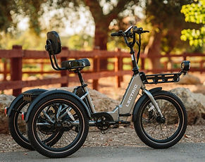 trike 1.jpg