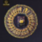 Golden Cards Delfín 2019