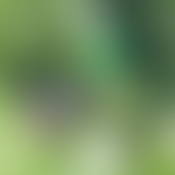 Two river boats traveling down a river. A road sign is visible on the river side. It states"The Arrival". There is a small sign beneath saying "Keep going this way" with a arrow pointing right