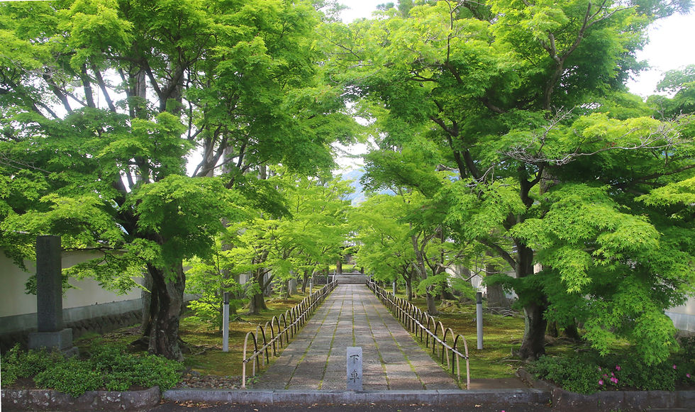 参道