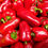 Thumbnail: Red Bell Pepper/Tatashe - kg