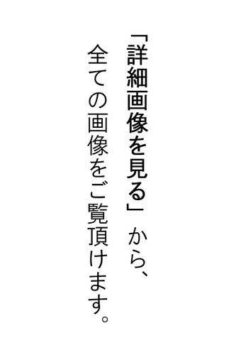 鈴木啓處筆 花鳥圖 紙本肉筆 掛軸 送料込み251029 鈴木啓處筆 花鳥圖