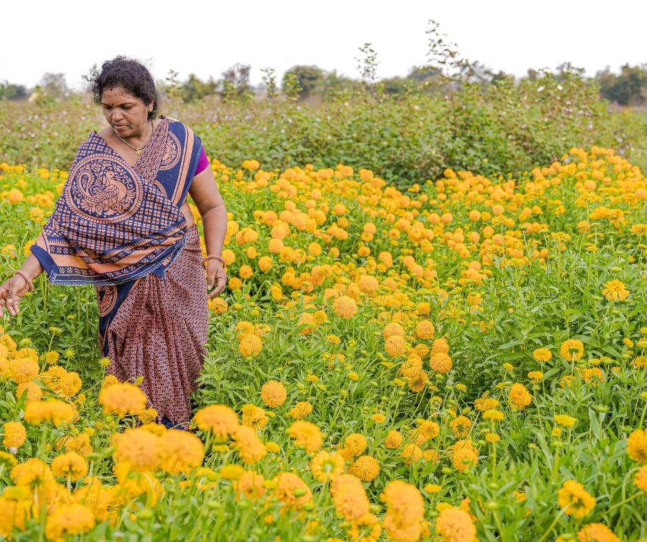 Scegli un turismo responsabile: valorizza le comunità locali, proteggi l'ambiente e vivi esperienze autentiche.