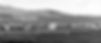 Gardiner Park St. ca1905