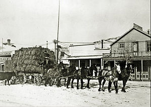 Gardiner Hotel Montana, CB Scott Montana