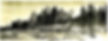 Yellowstone Park Camps Co. postcard