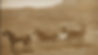 Cinnabar Coaches, Eastman Museum