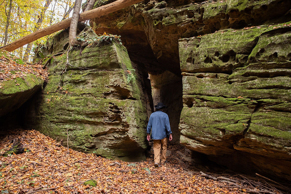 Secret passage