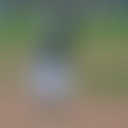 2025 American Legion Recap