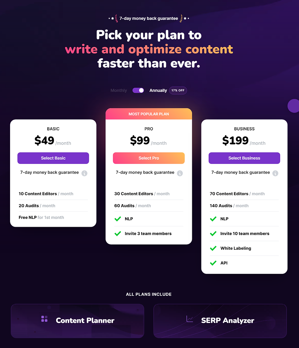 Surfer SEO Plan