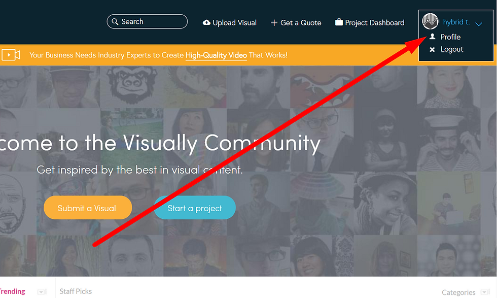 visualy free backlinks 2018