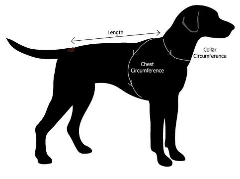 Dog Coat Size Chart, How to Measure
