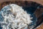 top_01.jpg