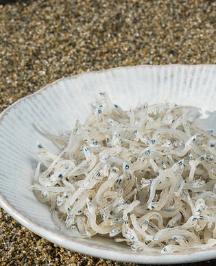 ちりめん (16).jpg