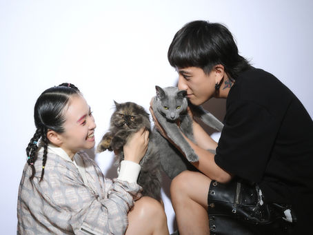 〜petomoni(ぺトモニ)×misonoトークセッション〜