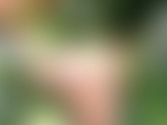 今シーズンのイチゴ狩りは終了しました　また来シーズンよろしくお願いします