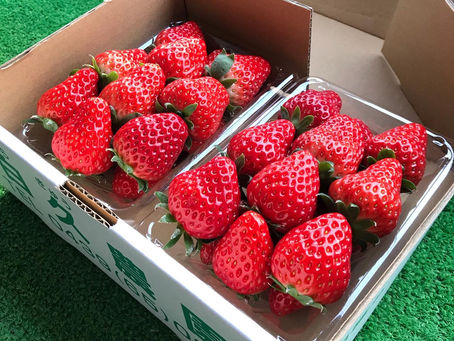 12日、13日、お土産用パック販売のみ営業します