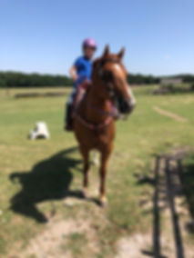 image1 (2).jpeg