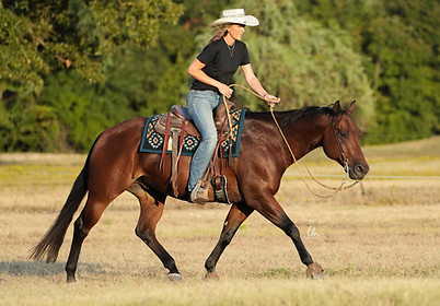 Trot1-2.jpg