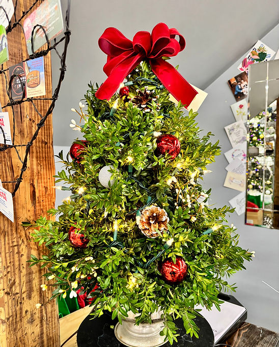 register boxwood tree.jpeg
