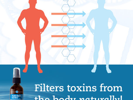 Toxic Blood: How Nano Zeolite Can Restore Your Body’s Balance