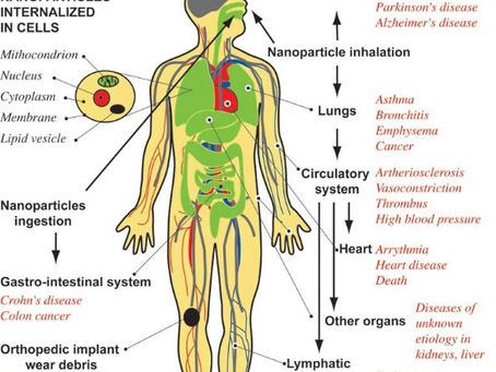 Nano-Toxins Explained — A Practical Guide to Supporting Your Body’s Detox Pathways
