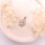 Handcrafted Lion Paw Shaped Silver Necklace with Crimson Everlasting Fynbos Set Inside Diamond Glass Resin