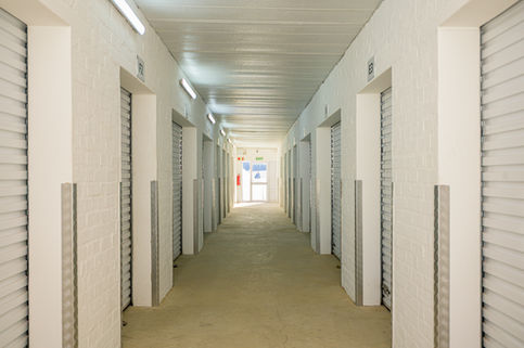 _KMP4424.jpg