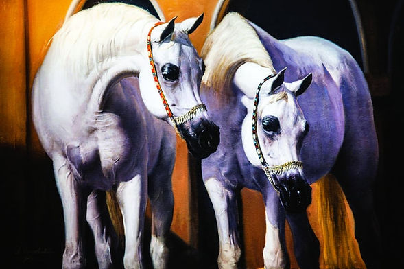 جداريات الخيل.. تستقطب زائري "كتارا الدولي"