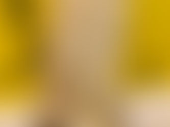 ミャンマーに夢中