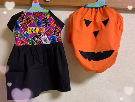 東京ふれあいマーケットでふれあいのペット服販売です。